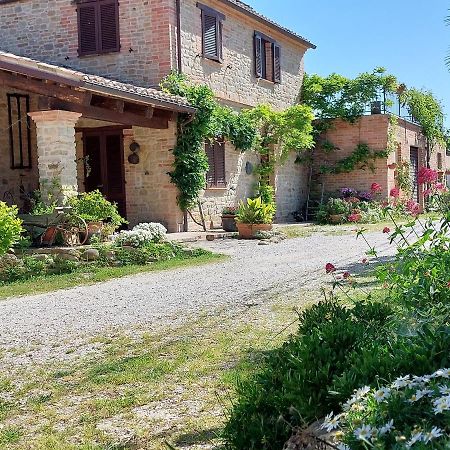Casale San Martino Agriturismo Bio Sant'Angelo in Pontano Exterior photo