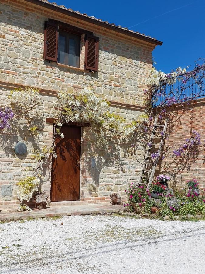 Casale San Martino Agriturismo Bio Sant'Angelo in Pontano Exterior photo