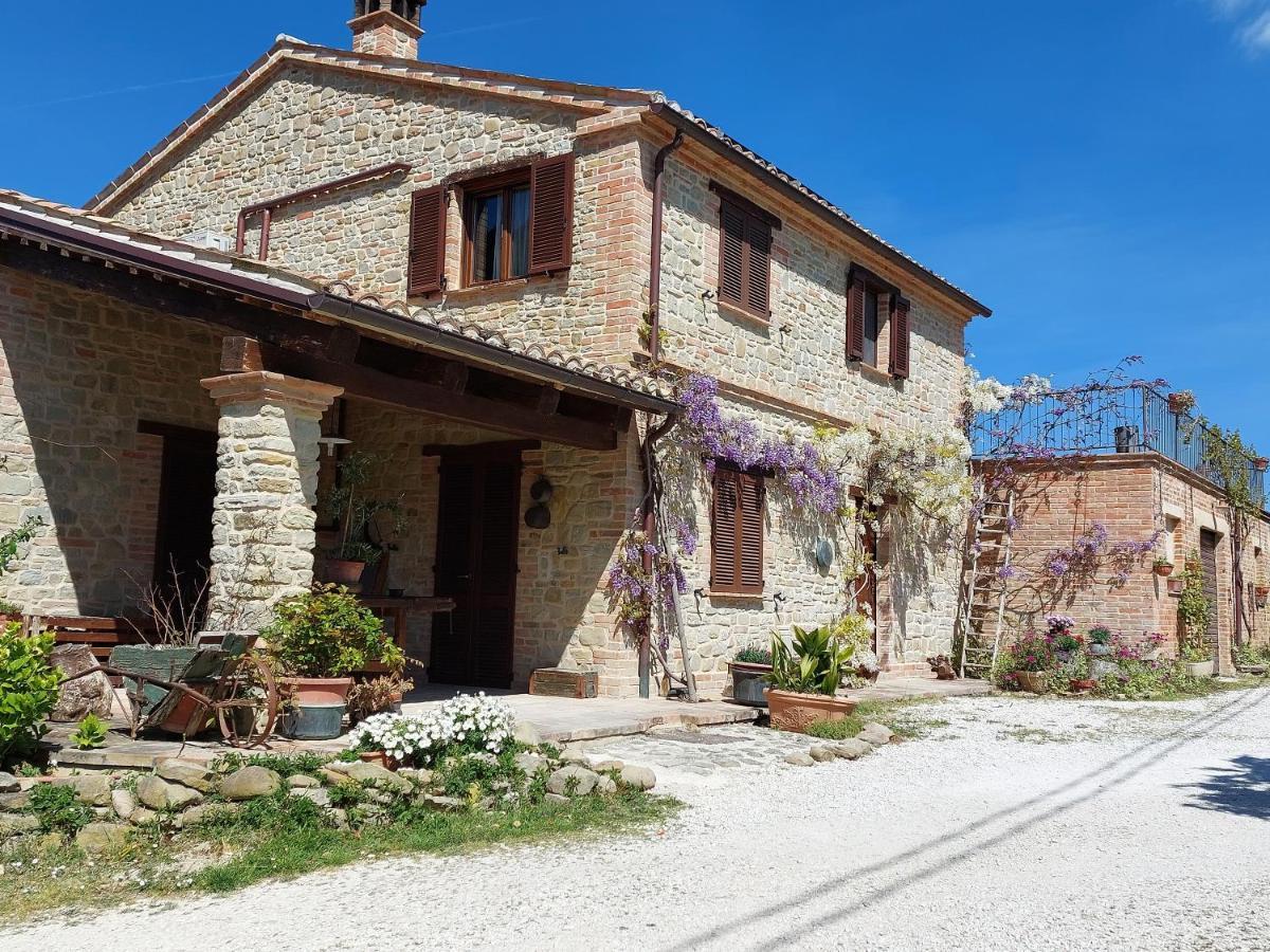 Casale San Martino Agriturismo Bio Sant'Angelo in Pontano Exterior photo