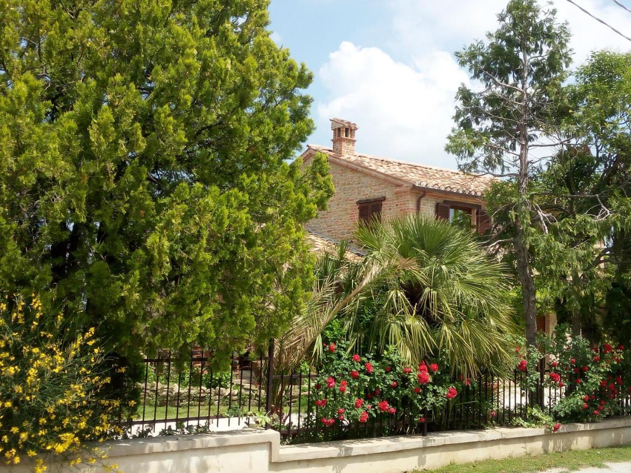 Casale San Martino Agriturismo Bio Sant'Angelo in Pontano Exterior photo